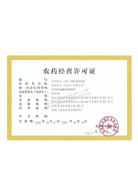 CE